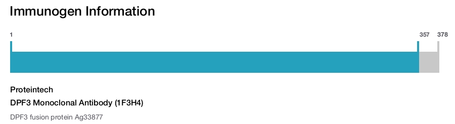 DPF3 Monoclonal Antibody (1F3H4)
