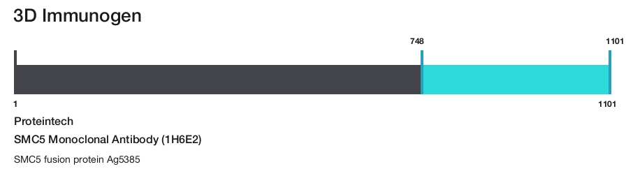 SMC5 Monoclonal Antibody (1H6E2)