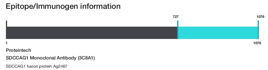 SDCCAG1 Monoclonal Antibody (3C8A1)