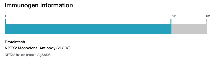 NPTX2 Monoclonal Antibody (2H8D8)