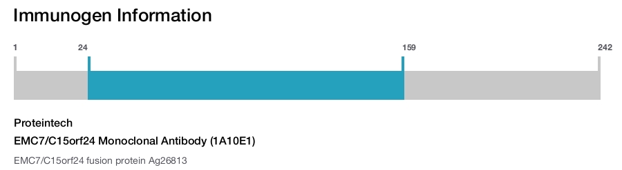 EMC7/C15orf24 Monoclonal Antibody (1A10E1)