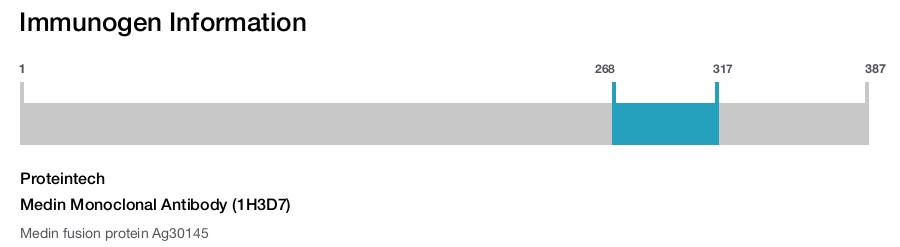 Medin Monoclonal Antibody (1H3D7)