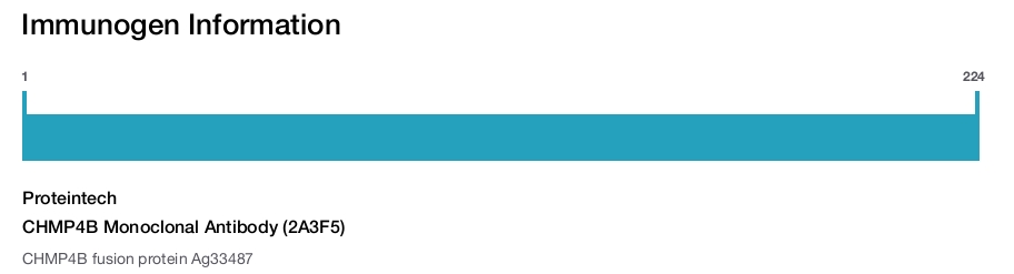 CHMP4B Monoclonal Antibody (2A3F5)
