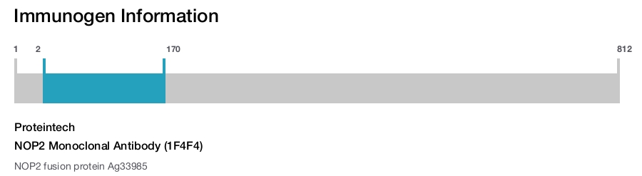 NOP2 Monoclonal Antibody (1F4F4)