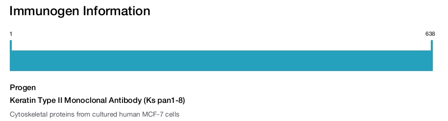Keratin Type II Monoclonal Antibody (Ks pan1-8)