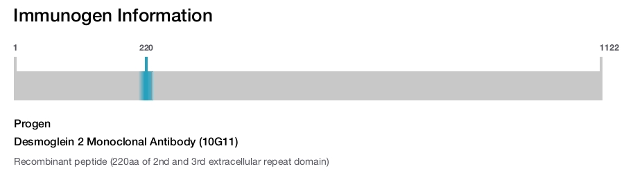 Desmoglein 2 Monoclonal Antibody (10G11)