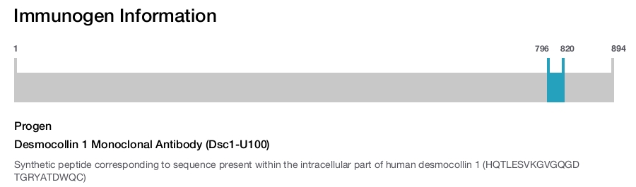 Desmocollin 1 Monoclonal Antibody (Dsc1-U100)