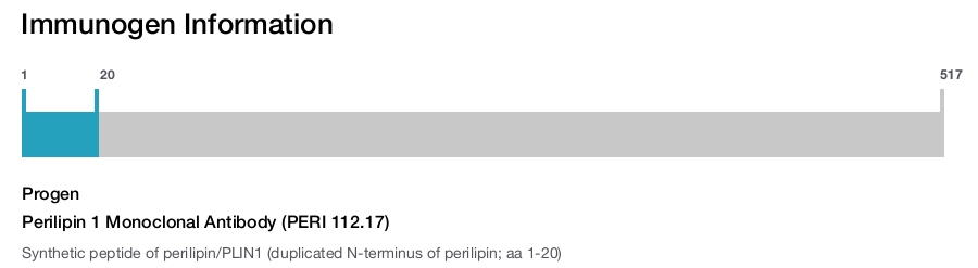 Perilipin 1 Monoclonal Antibody (PERI 112.17)