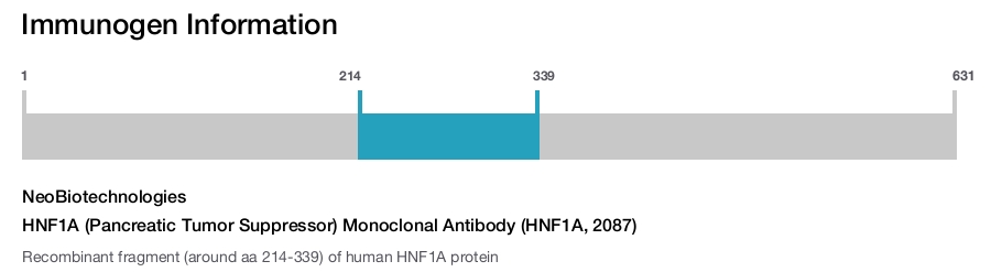 HNF1A (Pancreatic Tumor Suppressor) Monoclonal Antibody (HNF1A, 2087)