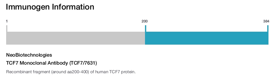 TCF7 Monoclonal Antibody (TCF7/7631)