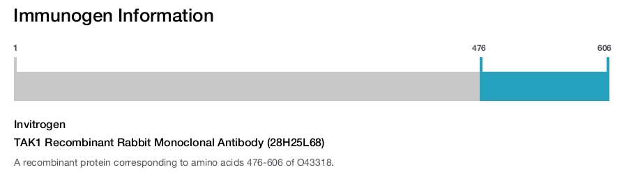 TAK1 Recombinant Rabbit Monoclonal Antibody (28H25L68)