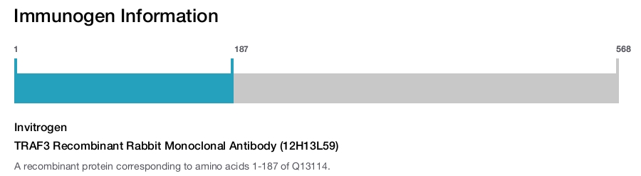 TRAF3 Recombinant Rabbit Monoclonal Antibody (12H13L59)