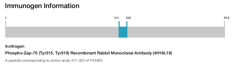 Phospho-Zap-70 (Tyr315, Tyr319) Recombinant Rabbit Monoclonal Antibody (4H16L19)