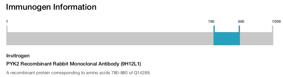 PYK2 Recombinant Rabbit Monoclonal Antibody (9H12L1)