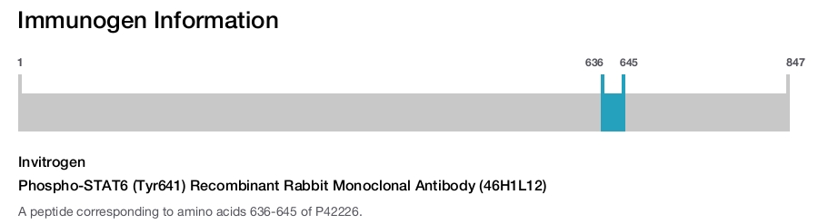 Phospho-STAT6 (Tyr641) Recombinant Rabbit Monoclonal Antibody (46H1L12)