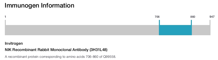 NIK Recombinant Rabbit Monoclonal Antibody (3H31L48)