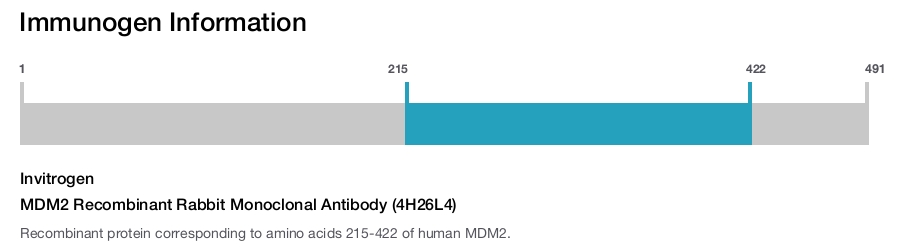MDM2 Recombinant Rabbit Monoclonal Antibody (4H26L4)
