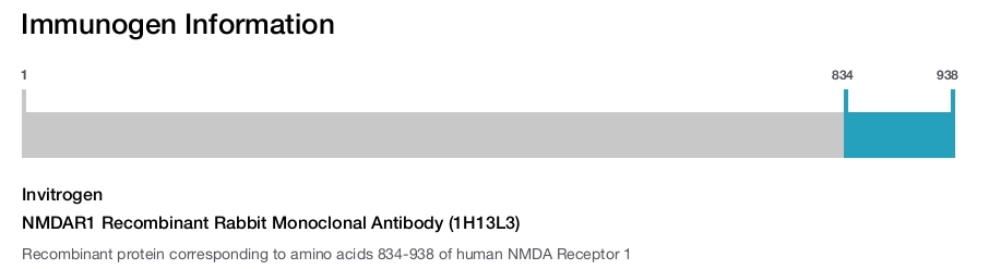 NMDAR1 Recombinant Rabbit Monoclonal Antibody (1H13L3)