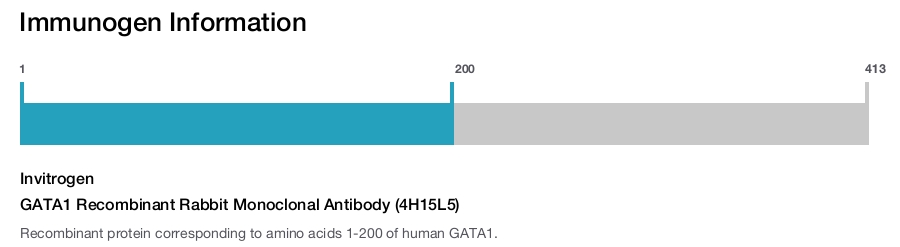 GATA1 Recombinant Rabbit Monoclonal Antibody (4H15L5)