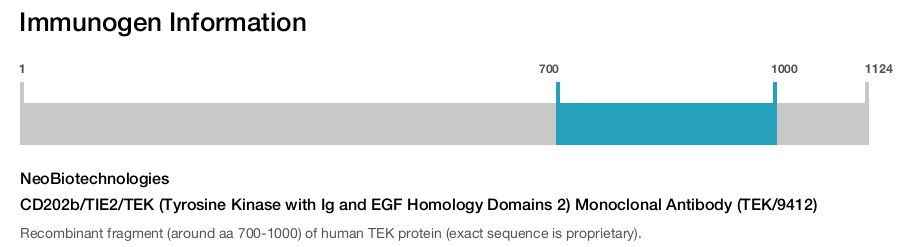CD202b/TIE2/TEK (Tyrosine Kinase with Ig and EGF Homology Domains 2) Monoclonal Antibody (TEK/9412)