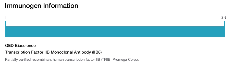 Transcription Factor IIB Monoclonal Antibody (IIB8)