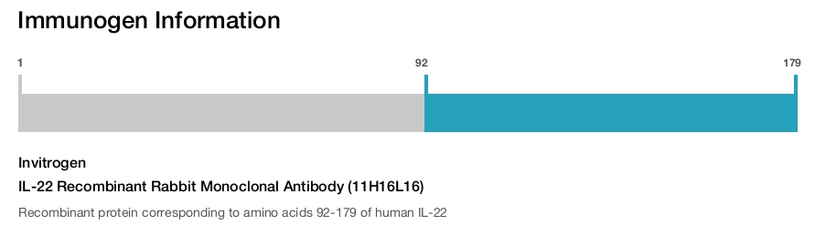 IL-22 Recombinant Rabbit Monoclonal Antibody (11H16L16)