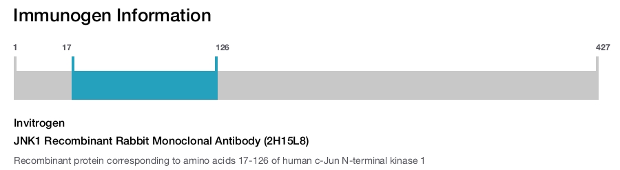 JNK1 Recombinant Rabbit Monoclonal Antibody (2H15L8)