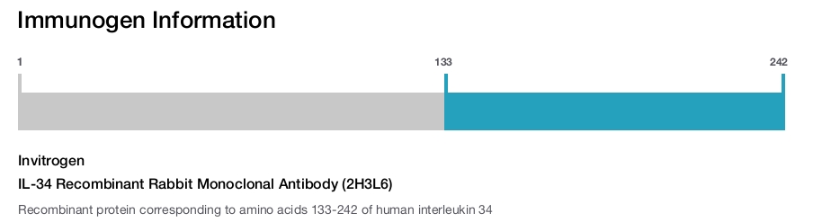 IL-34 Recombinant Rabbit Monoclonal Antibody (2H3L6)