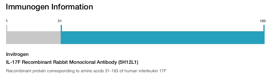 IL-17F Recombinant Rabbit Monoclonal Antibody (5H12L1)