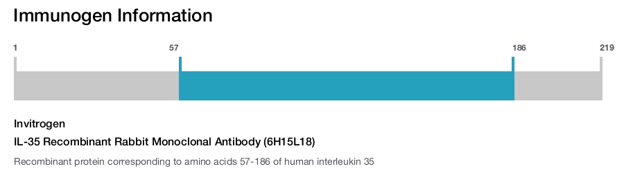 IL-35 Recombinant Rabbit Monoclonal Antibody (6H15L18)