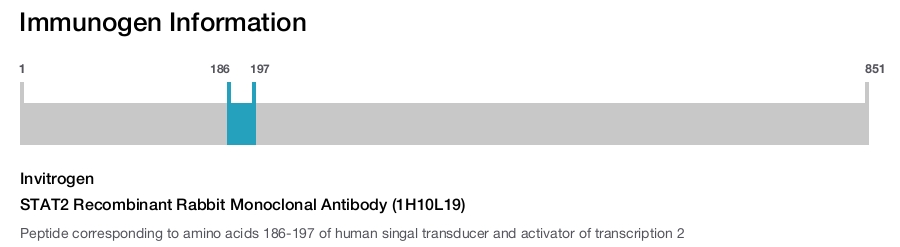 STAT2 Recombinant Rabbit Monoclonal Antibody (1H10L19)