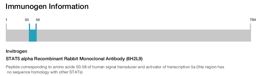 STAT5 alpha Recombinant Rabbit Monoclonal Antibody (6H2L9)