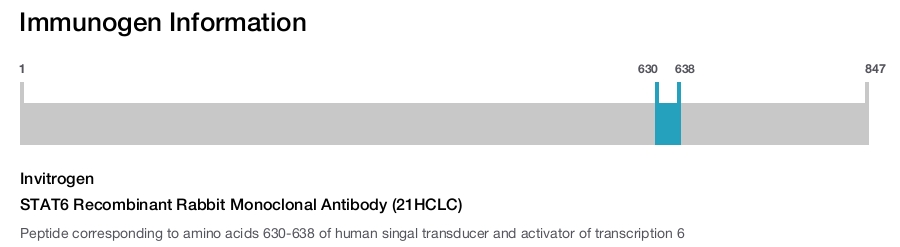 STAT6 Recombinant Rabbit Monoclonal Antibody (21HCLC)