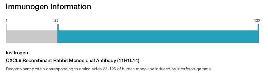 CXCL9 Recombinant Rabbit Monoclonal Antibody (11H1L14)