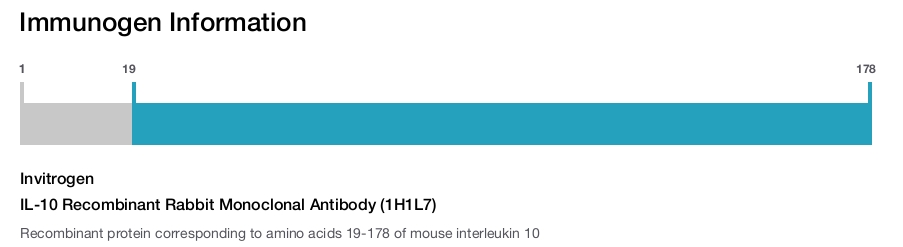 IL-10 Recombinant Rabbit Monoclonal Antibody (1H1L7)