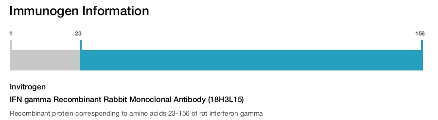 IFN gamma Recombinant Rabbit Monoclonal Antibody (18H3L15)