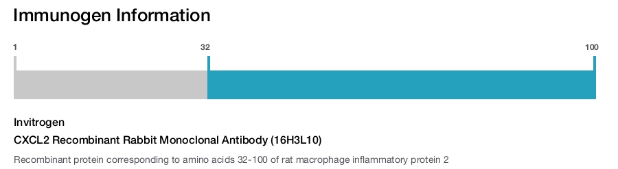 CXCL2 Recombinant Rabbit Monoclonal Antibody (16H3L10)