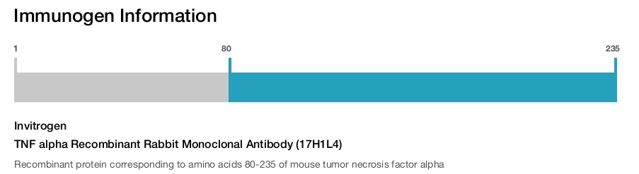 TNF alpha Recombinant Rabbit Monoclonal Antibody (17H1L4)