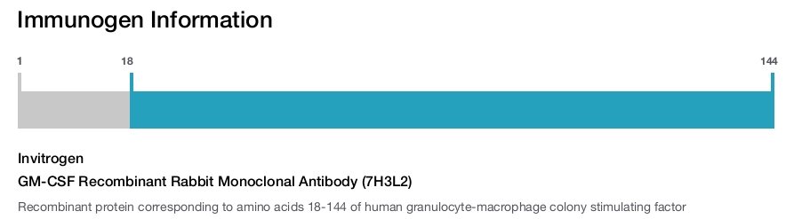 GM-CSF Recombinant Rabbit Monoclonal Antibody (7H3L2)