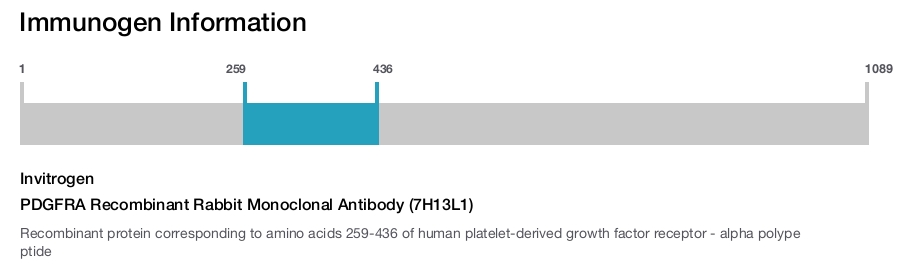 PDGFRA Recombinant Rabbit Monoclonal Antibody (7H13L1)