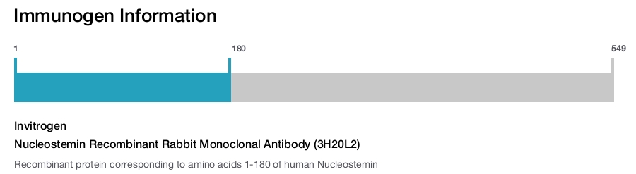 Nucleostemin Recombinant Rabbit Monoclonal Antibody (3H20L2)
