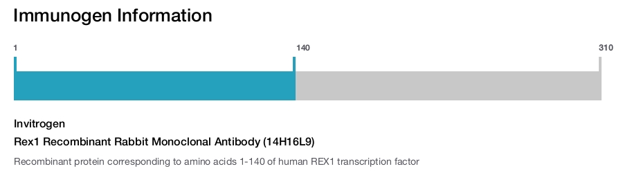 Rex1 Recombinant Rabbit Monoclonal Antibody (14H16L9)