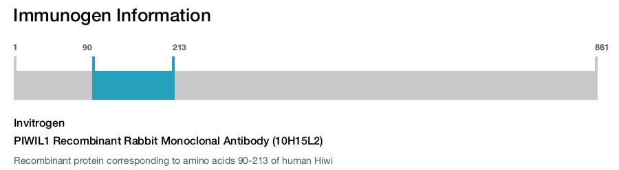 PIWIL1 Recombinant Rabbit Monoclonal Antibody (10H15L2)