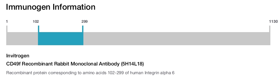 CD49f Recombinant Rabbit Monoclonal Antibody (5H14L18)