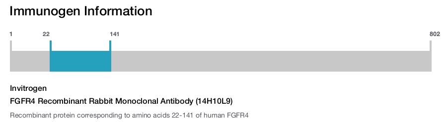 FGFR4 Recombinant Rabbit Monoclonal Antibody (14H10L9)