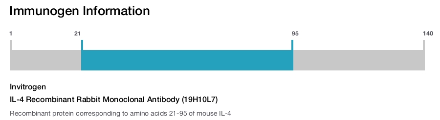 IL-4 Recombinant Rabbit Monoclonal Antibody (19H10L7)