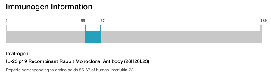 IL-23 p19 Recombinant Rabbit Monoclonal Antibody (26H20L23)