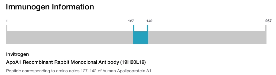 ApoA1 Recombinant Rabbit Monoclonal Antibody (19H20L19)