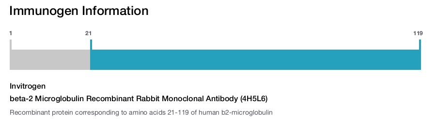 beta-2 Microglobulin Recombinant Rabbit Monoclonal Antibody (4H5L6)