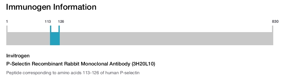 P-Selectin Recombinant Rabbit Monoclonal Antibody (3H20L10)